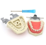 860 Lower Ivorine Jaw with Front Screws for Mounting Rubber Dams